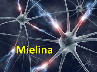 Mielina