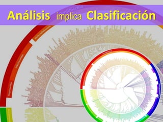 Análisis  implica  Clasificación