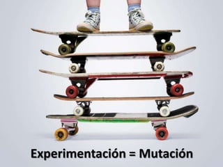 Experimentación = Mutación