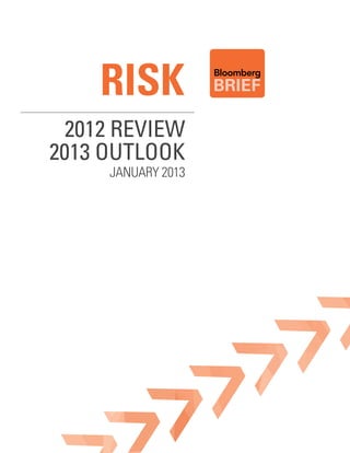risk
 2012 Review
2013 outlook
     January 2013
 