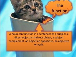 The
function
A noun can function in a sentences as a subject, a
direct object an indirect object, a subject
complement, an object an appositive, an adjective
or verb.