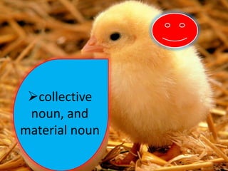 collective
noun, and
material noun