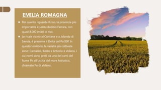 EMILIA ROMAGNA
 Per quanto riguarda il riso, la provincia più
importante è senza dubbio Ferrara, con
quasi 8.000 ettari di riso.
 Le risaie vicino al Còntane e a Jolanda di
Savoia, è presente il Delta del Po IGP. In
questo territorio, la varietà più coltivata
sono: Carnaroli, Baldo e Arborio e Volano, i
cui nomi sono presi da uno dei rami del
fiume Po all'uscita del mare Adriatico,
chiamato Po di Volano.
 