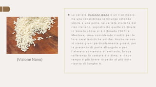 (Vialone Nano)
 L a v a r i e t à V i a l o n e N a n o è u n r i s o m e d i o .
H a u n a c o n s i s t e n z a s e m i l u n g a r o t o n d a
s i m i l e a u n a p e r l a . L e v a r i e t à s t o r i c h e d e l
r i s o i t a l i a n o , s o p r a t t u t t o q u e l l e c o l t i v a t e
i n Ve n e t o ( d o v e s i è o t t e n u t a l ' I G P ) e
M a n t o v a , s o n o c o n s i d e r a t e r i s o t t o p e r l e
l o r o c a r a t t e r i s t i c h e u n i c h e . A n c h e s e n o n
v i s i a n o g r a n i p a r t i c o l a r m e n t e g r o s s i , p e r
l a p r e s e n z a d i p e r l e a l l u n g a t e e p e r
l ' e l e v a t o c o n t e n u t o d i a m i l o s i o , l a s u a
t o l l e r a n z a i n c o t t u r a è o t t i m a , e i l s u o
t e m p o è p i ù b r e v e r i s p e t t o a l p i ù n o t o
r i s o t t o d i l u n g h o A .
 