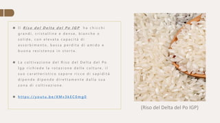 (Riso del Delta del Po IGP)
 I l R i s o d e l D e l t a d e l P o I G P h a c h i c c h i
g r a n d i , c r i s t a l l i n e e d e n s e , b i a n c h e o
s o l i d e , c o n e l e v a t a c a p a c i t à d i
a s s o r b i m e n t o , b a s s a p e r d i t a d i a m i d o e
b u o n a r e s i s t e n z a i n s t o r t a .
 L a c o l t i v a z i o n e d e l R i s o d e l D e l t a d e l P o
I g p r i c h i e d e l a r o t a z i o n e d e l l e c o l t u r e , i l
s u o c a r a t t e r i s t i c o s a p o r e r i c c o d i s a p i d i t à
d i p e n d e d i p e n d e d i r e t t a m e n t e d a l l a s u a
z o n a d i c o l t i v a z i o n e .
 h t t p s : / / y o u t u . b e / X M v 3 k E C 0 m g 0
 