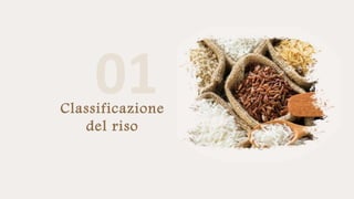 Classificazione
del riso
 