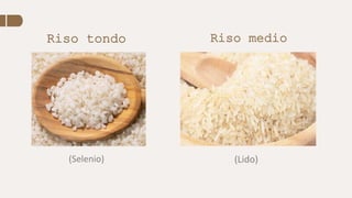 Riso tondo Riso medio
(Selenio) (Lido)
 