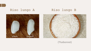 Riso lungo A Riso lungo B
(Thaibonnet)
 