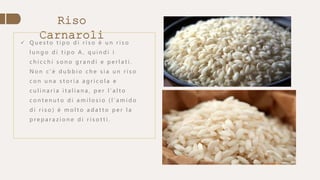Riso
Carnaroli
 Q u e s t o t i p o d i r i s o è u n r i s o
l u n g o d i t i p o A , q u i n d i i
c h i c c h i s o n o g r a n d i e p e r l a t i .
N o n c ' è d u b b i o c h e s i a u n r i s o
c o n u n a s t o r i a a g r i c o l a e
c u l i n a r i a i t a l i a n a , p e r l ' a l t o
c o n t e n u t o d i a m i l o s i o ( l ' a m i d o
d i r i s o ) è m o l t o a d a t t o p e r l a
p r e p a r a z i o n e d i r i s o t t i .
 