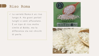 Riso Roma
 L a va r i e t à Ro m a è u n r i s o
l u n g o A . H a g r a n i p e r l a t i
l u n g h i e s e m i a f f u s o l a t o .
È u n t i p o d i r i s o m o l t o
s i m i l e a l B a l d o , m a l a
d i f f e re n z a s t a n e i c h i c c h i
d i p e r l a .
 