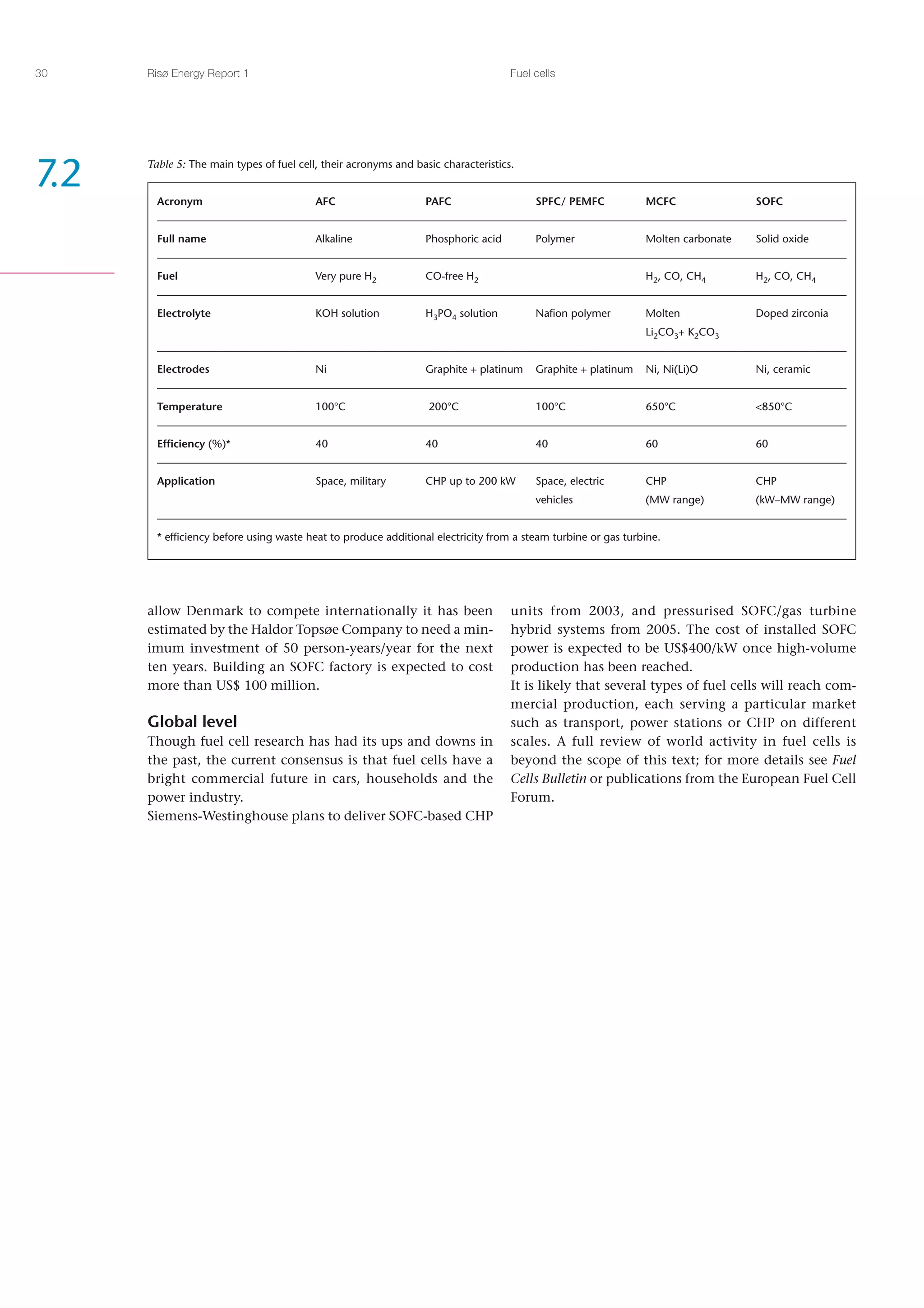 Risoe Energy Report 1