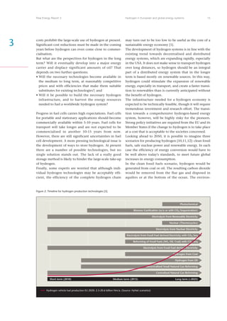 Risoe Energy Report 3