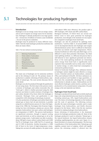 Risoe Energy Report 3