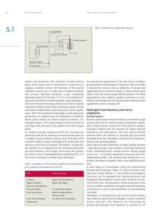 Risoe Energy Report 3