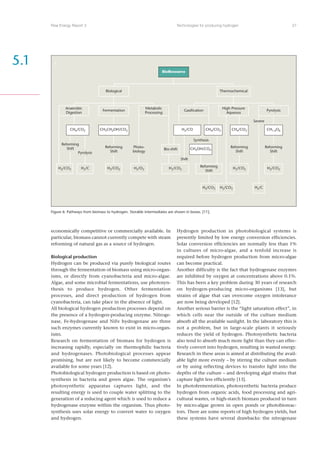 Risoe Energy Report 3