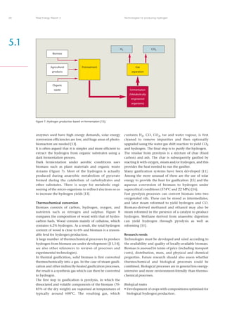 Risoe Energy Report 3