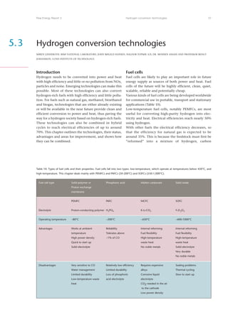 Risoe Energy Report 3