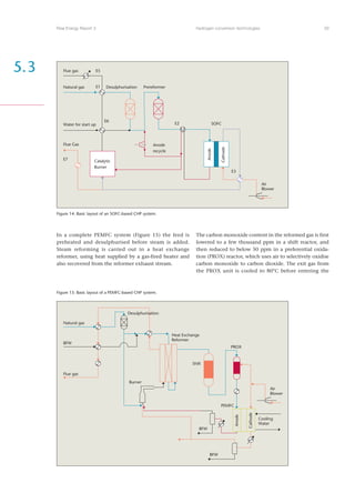 Risoe Energy Report 3