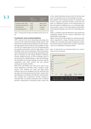Risoe Energy Report 3