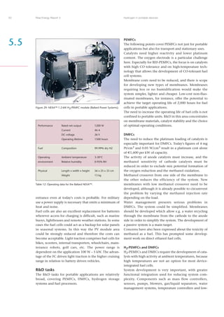 Risoe Energy Report 3