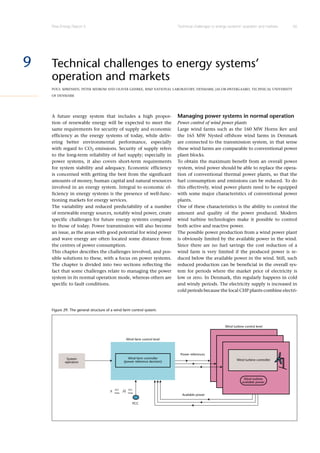 Risoe Energy Report 5