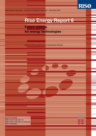 Risoe Energy Report 6