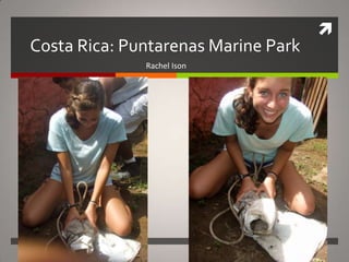 Costa Rica: Puntarenas Marine Park Rachel Ison 