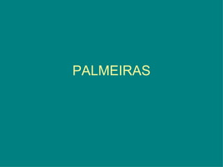 PALMEIRAS 