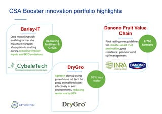 CSA Booster innovation portfolio highlights
Agritech startup using
greenhouse lab tech to
grow animal feed cost-
effectively in arid
environments, reducing
water use by 99%
99% less
water
DryGro
Danone Fruit Value
Chain
Pilot testing new guidelines
for climate-smart fruit
production, pest
resistance, genomics and
soil management
6,700
farmers
Barley-IT
Reducing
fertiliser &
GHGs
Crop modelling tech
enabling farmers to
maximize nitrogen
absorption in malting
barley, reducing fertiliser
inputs and N2O emissions.
 