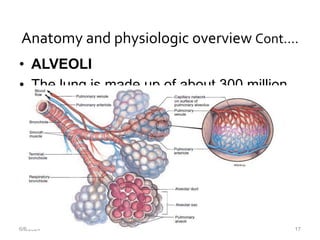 Anatomy and physiologic overview Cont.…
• ALVEOLI
• The lung is made up of about 300 million
alveoli,
6/6/2024 17
 