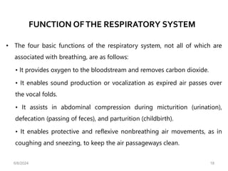 FUNCTION OFTHE RESPIRATORY SYSTEM
• The four basic functions of the respiratory system, not all of which are
associated with breathing, are as follows:
• It provides oxygen to the bloodstream and removes carbon dioxide.
• It enables sound production or vocalization as expired air passes over
the vocal folds.
• It assists in abdominal compression during micturition (urination),
defecation (passing of feces), and parturition (childbirth).
• It enables protective and reflexive nonbreathing air movements, as in
coughing and sneezing, to keep the air passageways clean.
6/6/2024 18
 