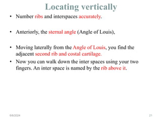Locating vertically
21
• Number ribs and interspaces accurately.
• Anteriorly, the sternal angle (Angle of Louis),
• Moving laterally from the Angle of Louis, you find the
adjacent second rib and costal cartilage.
• Now you can walk down the inter spaces using your two
fingers. An inter space is named by the rib above it.
6/6/2024
 