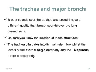 The trachea and major bronchi
36
 Breath sounds over the trachea and bronchi have a
different quality than breath sounds over the lung
parenchyma.
 Be sure you know the location of these structures.
 The trachea bifurcates into its main stem bronchi at the
levels of the sternal angle anteriorly and the T4 spinous
process posteriorly.
6/6/2024
 