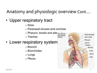 Anatomy and physiologic overview Cont.…
• Upper respiratory tract
o Nose
o Paranasal sinuses and conchae
o Pharynx, tonsils and adenoids
o Trachea
• Lower respiratory system
o Bronchi
o Bronchioles
o Lungs
o Pleura
6/6/2024 5
 