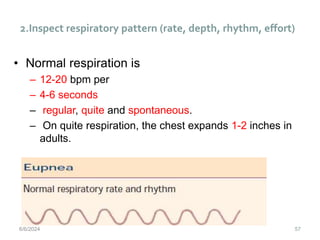 2.Inspect respiratory pattern (rate, depth, rhythm, effort)
57
• Normal respiration is
– 12-20 bpm per
– 4-6 seconds
– regular, quite and spontaneous.
– On quite respiration, the chest expands 1-2 inches in
adults.
6/6/2024
 