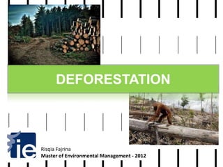 DEFORESTATION



Risqia Fajrina
Master of Environmental Management - 2012
 