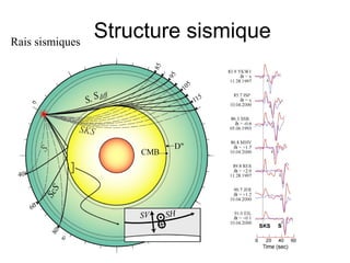 Rais sismiques

Structure sismique

 