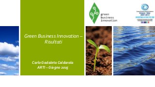 Green Business Innovation –
Risultati
Carlo Gadaleta Caldarola
ARTI – Giugno 2015
 
