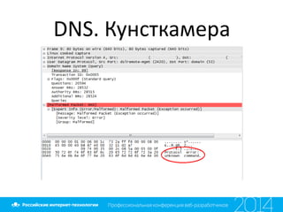 DNS. Кунсткамера
 