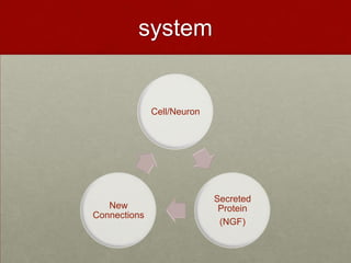 system