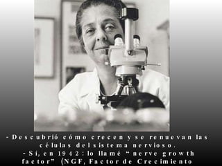 - Descubrió cómo crecen y se renuevan las células del sistema nervioso.  - Sí, en 1942: lo llamé “nerve growth factor” (NGF, Factor de Crecimiento Nervioso), y durante casi medio siglo estuvo en  entredicho, hasta que se reconoció su validez y en 1986 me dieron por ello el premio Nobel. 