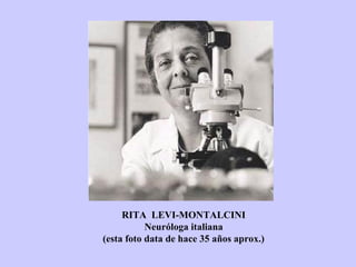 RITA LEVI-MONTALCINI
Neuróloga italiana
(esta foto data de hace 35 años aprox.)
 
