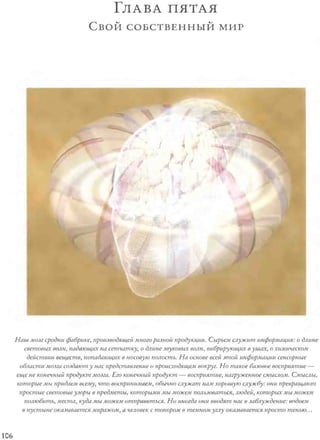 Rita karter kak_rabotaet_mozg