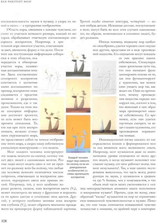 Rita karter kak_rabotaet_mozg