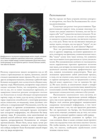 Rita karter kak_rabotaet_mozg