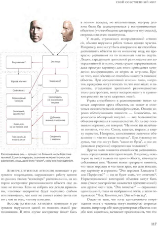 Rita karter kak_rabotaet_mozg