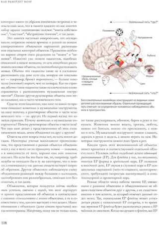 Rita karter kak_rabotaet_mozg