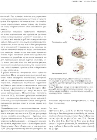 Rita karter kak_rabotaet_mozg