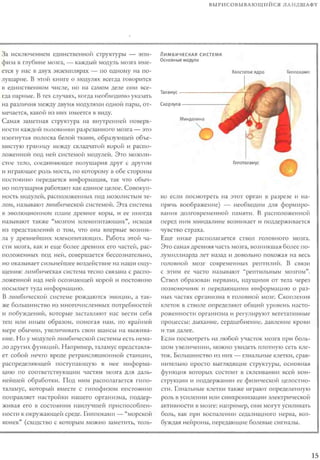 Rita karter kak_rabotaet_mozg