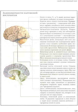 Rita karter kak_rabotaet_mozg
